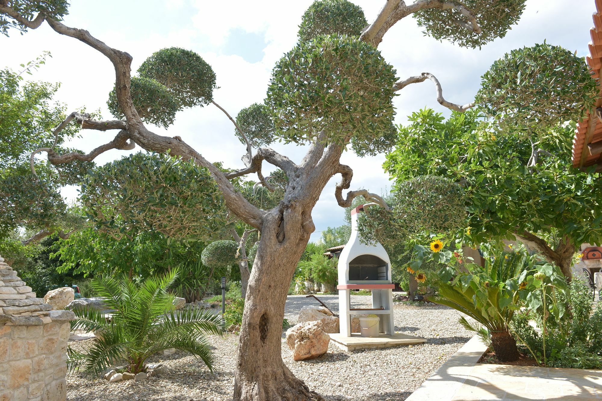 Masseria Pentima Vetrana Resort Alberobello Exterior photo